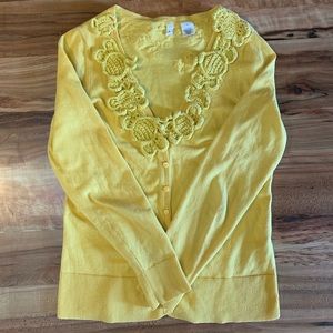 Moth Anthropopogy Abuzz Bee Yellow Cardigan Medium